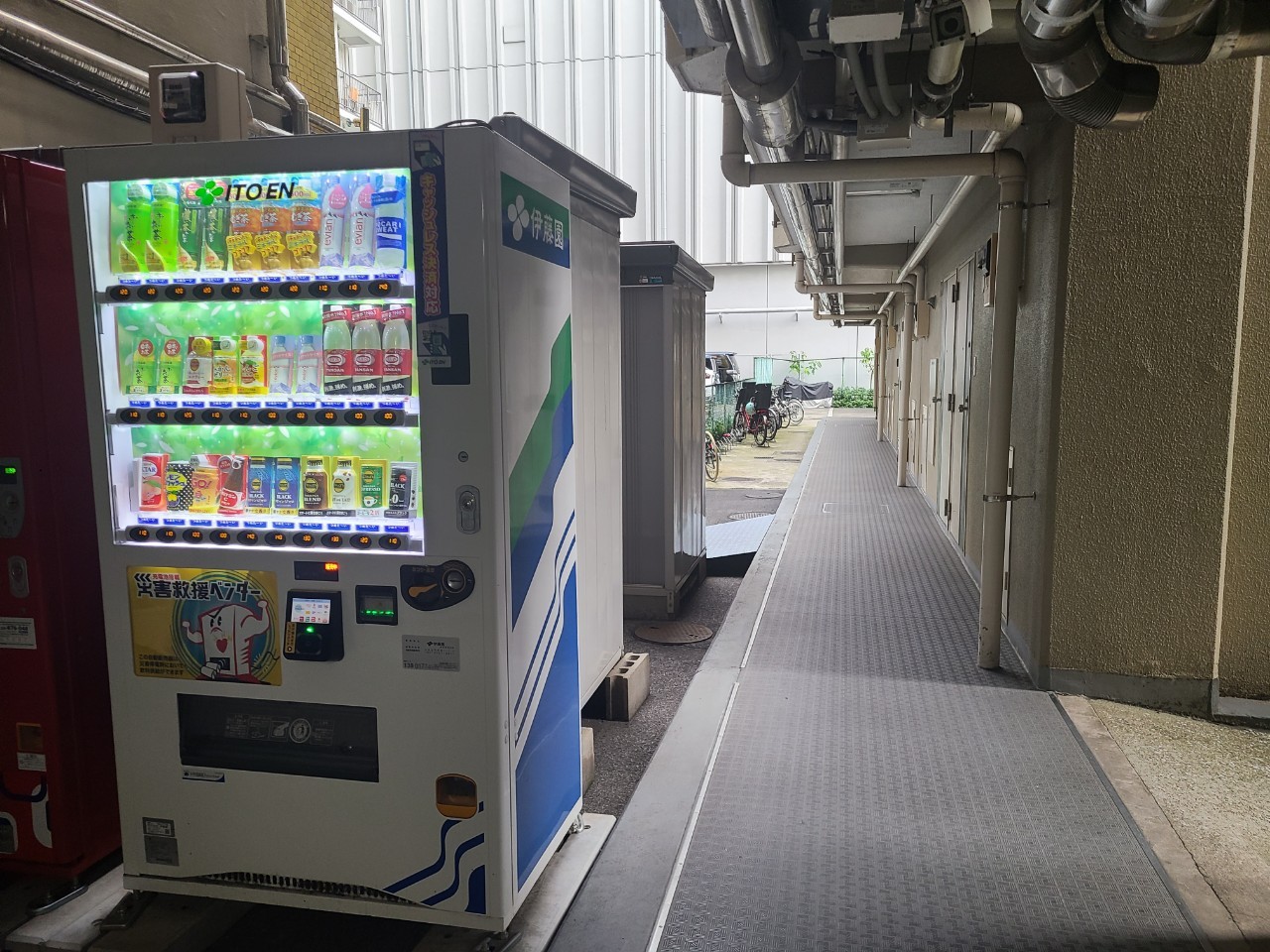 東京ベイビユウの写真11