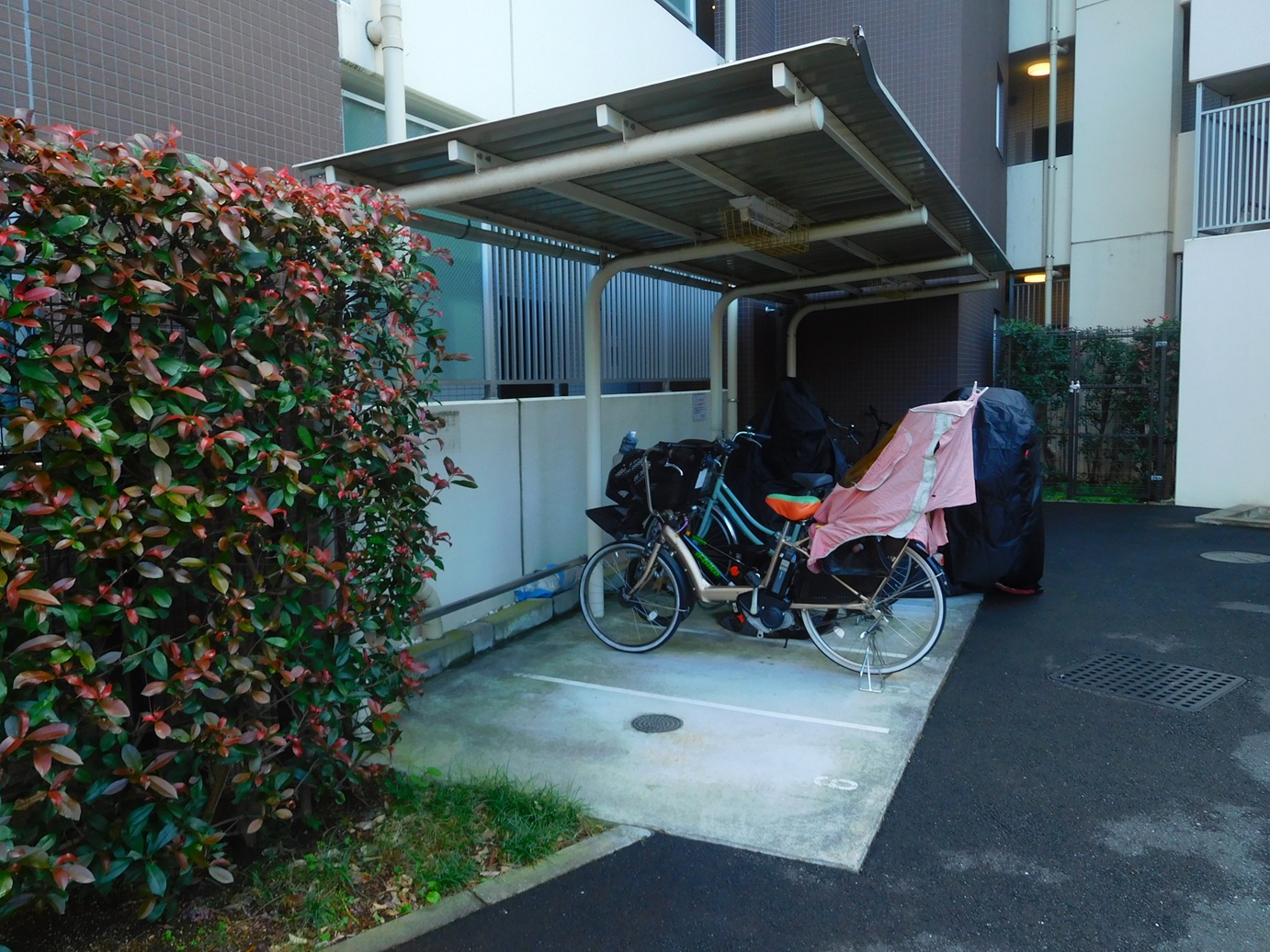 クリオ板橋本町の写真8